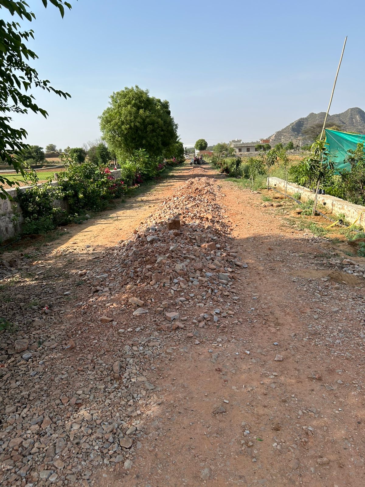 Phase 8 – Landscaping & Roads