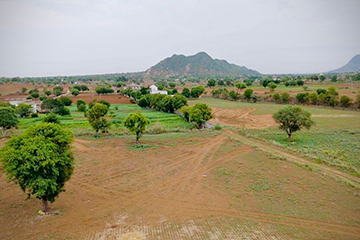 Phase 8 – Landscaping & Roads